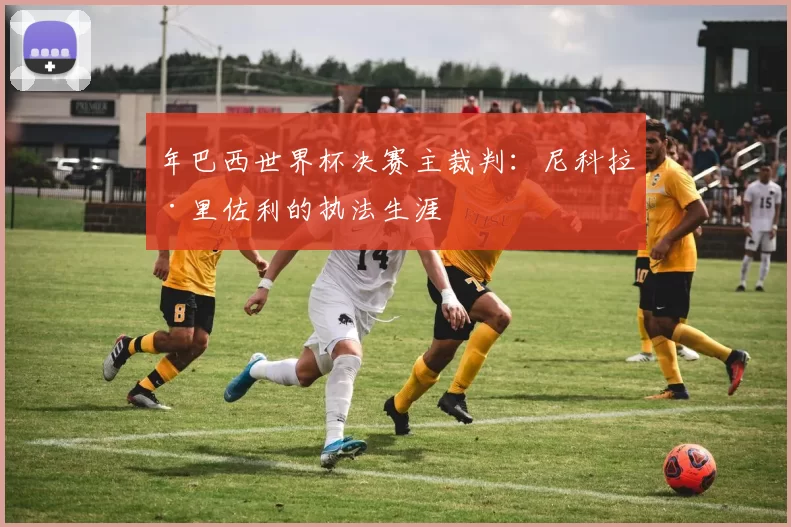 年巴西世界杯决赛主裁判:尼科拉·里佐利的执法生涯