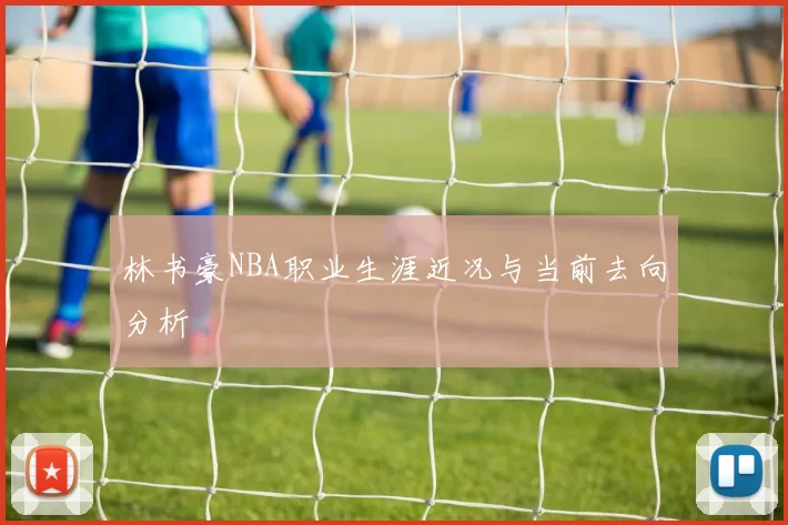 林书豪NBA职业生涯近况与当前去向分析