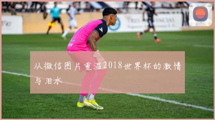 从微信图片重温2018世界杯的激情与泪水