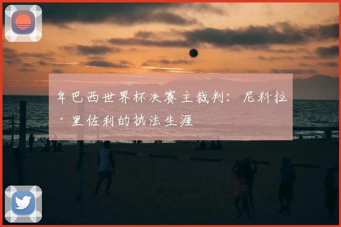 年巴西世界杯决赛主裁判:尼科拉·里佐利的执法生涯