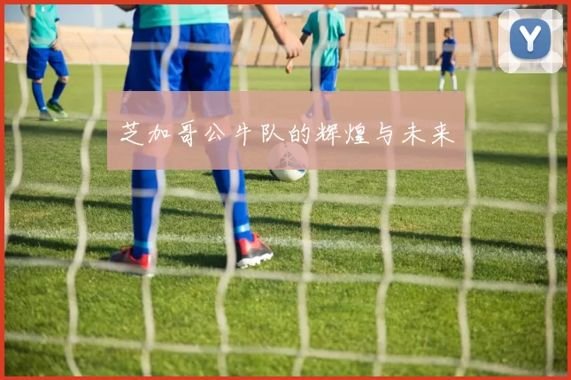 芝加哥公牛队的辉煌与未来