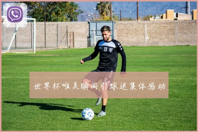 世界杯唯美瞬间引球迷集体感动