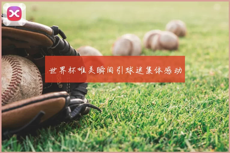 世界杯唯美瞬间引球迷集体感动