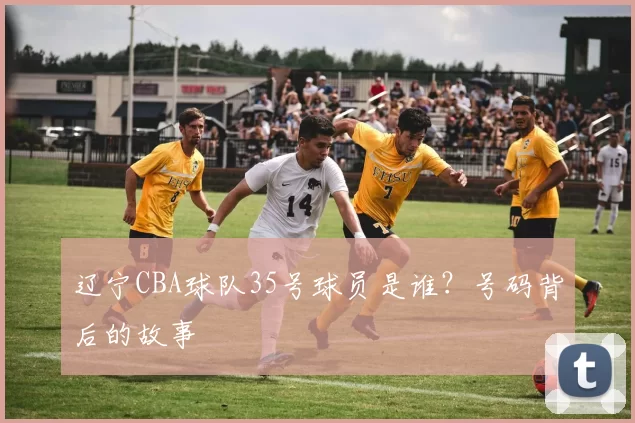 辽宁CBA球队35号球员是谁?号码背后的故事