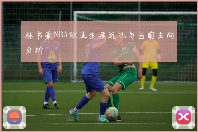 林书豪NBA职业生涯近况与当前去向分析