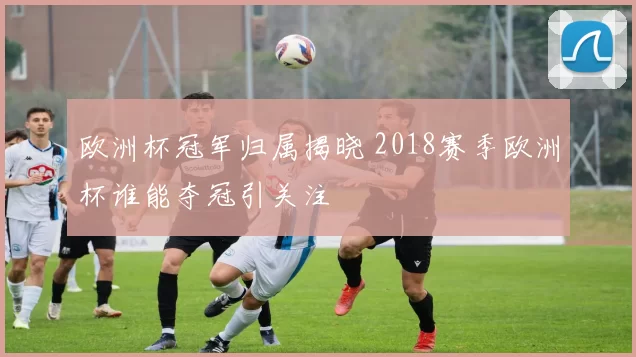 欧洲杯冠军归属揭晓 2018赛季欧洲杯谁能夺冠引关注
