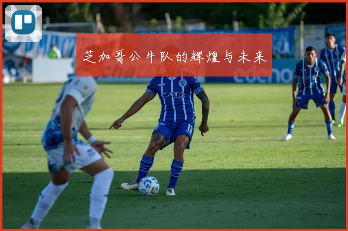 芝加哥公牛队的辉煌与未来